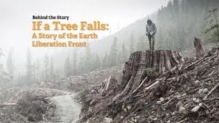 If a Tree Falls