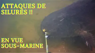 ATTAQUES DE SILURES EN VUE SOUS-MARINE AU VIF!