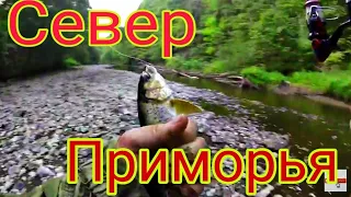 РЫБАЛКА НА ХАРИУСА И ЛЕНКА НА МАЛЫХ РЕКАХ НА СЕВЕРЕ ПРИМОРЬЯ