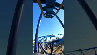 Great White POV | SeaWorld San Antonio