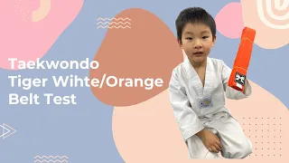 Taekwondo Tiger White/Orange Belt Test