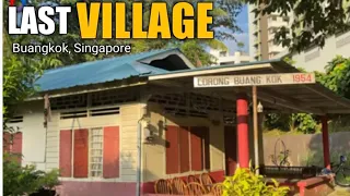 Kampong Lorong Buangkok | Last Village in Singapore