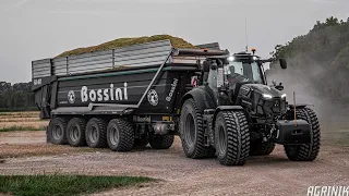 Wheat Silage XXL at Belluco Farm 🌾 | 2x Bossini 4 axis & New Holland FR 850