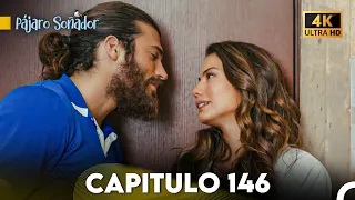 Pájaro Soñador Capítulo 146 (Doblado En Español 4K)