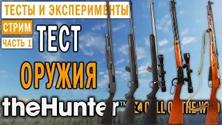 theHunter Call of the Wild #11 СТРИМ 🐺 - Тест Оружия по Заказу Зрителей (Часть 1)