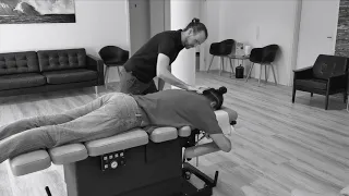 Chiropractic Artistry Flow