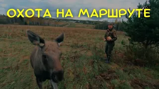 Охота на маршруте // Охотник и рыболов