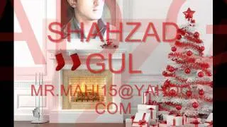 shahzad gul.wmv