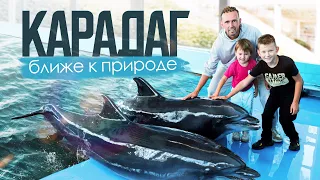 КРЫМ - Карадагский заповедник - 14 км пешком с детьми  после дельфинов / @travel-show