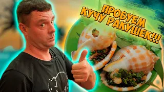 Обзор стритфуда! Таких ракушек мы еще не ели!