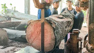 Bahan baku perahu beginilah cara menggergaji kayu wadang dari awal sampai selesai