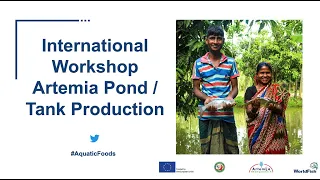 International Workshop on Artemia Pond / Tank Production