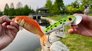 Fishing with the STRANGEST BAITS from a LOCAL TACKLE SHOP!!! (Not what I Expected...)