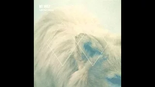 Mt. Wolf - Starliner (Life Size Ghosts EP)