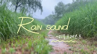 비오는 산책길 불면증 편안한 수면을 위한 최고의 빗소리 . 편안한 백색소음. Rain sound . White noise asmr