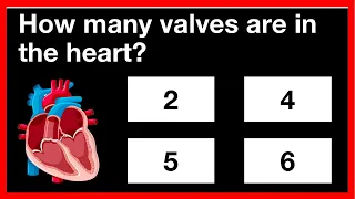 Can you pass this science quiz? 🤔🧠