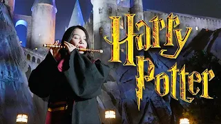 Harry Potter Theme Songs by Chinese Flute | Universal Studios Beijing | Chinese Flute Cover