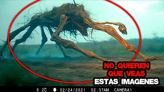 El Gobierno Elimino las Imágenes Para que Nadie las Viera videos de TERROR REAL para NO Dormir PT5