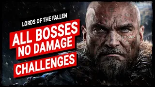 Lords of the Fallen - All Bosses【No Damage & Challenges】