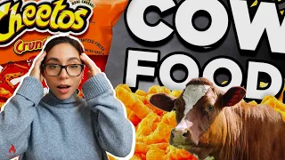 REACTION- Cheetos are COW FOOD!?