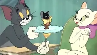 tom and jerry casanova cat part 2