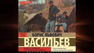 Были и небыли. Книга 1. Господа волонтеры  (Борис Васильев) Аудиокнига