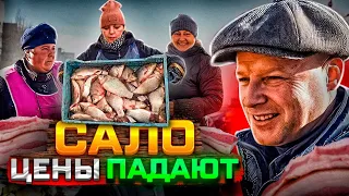 Что и где покупают Одесситы? Рынок! Цены на САЛО падают