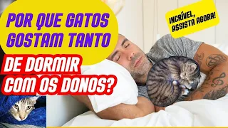 PORQUE OS GATOS DORMEM COM SEUS DONOS? DEVO DEIXAR MEU GATO DORMIR COMIGO? E COM AS CRIANÇAS?