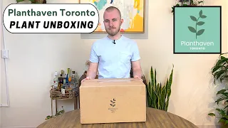 Planthaven Toronto Houseplant Unboxing (2023)