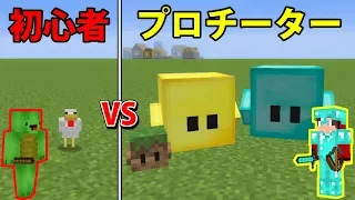 ブロック型のペットを新しい家族にする【マインクラフト】