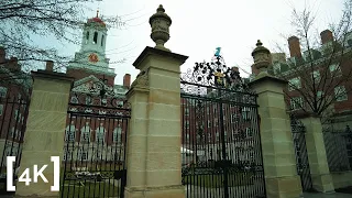 [4K] Walking in the Rain | Historic Harvard University | Binaural Sound | ASMR Ambience