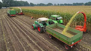 12 Oldtimer forage harvesters in action | Nordhorn 2020 | Mengele, MB Trac, Deutz, Eicher, IHC
