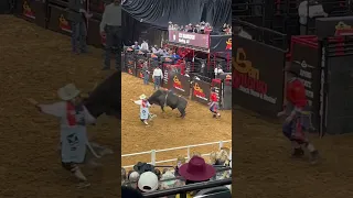 San Antonio TX rodeo Bull riding