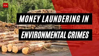 Green Crimes, Dirty Money: How Environmental Offenses Fuel Money Laundering