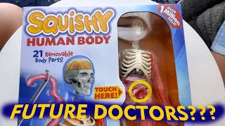 SQUISHY HUMAN BODY