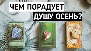 Чем порадует Душу ОСЕНЬ? | Таро онлайн расклад | Белое гадание