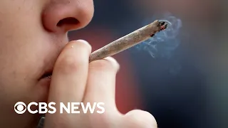 Marijuana use linked to increased risk of heart attack and stroke, study finds