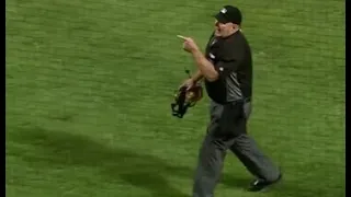 MLB Fan Ejections