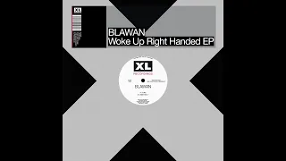 Blawan - No Rabbit No Life