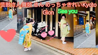 芸鼓さん舞妓 さん めっちゃきれい🥰maiko #舞妓  #maiko #kyoto Kyoto Gion japan 4k 👘🌸