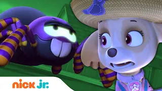 Paw Patrol Pups vs. Robot Spider! | Nick Jr.