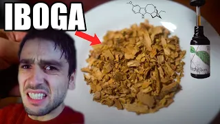 IBOGA (Ibogaine) Microdosing Experiment: African Psychedelic Plant [DAY 1]