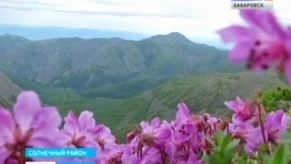 Вести-Хабаровск. Первая экспедиция в западную часть Баджальского заказника