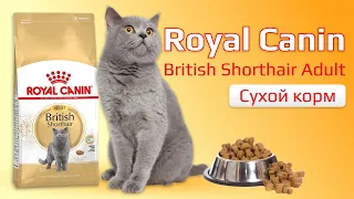 Сухой корм Royal Canin British Shorthair Adult для британских короткошерстных кошек