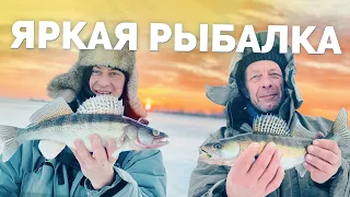 Попали на клев! Рыбалка на судака! Рыбы вырывают удочку из рук! Зимняя рыбалка 2022!