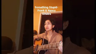 Something Stupid- Frank & Nancy Sinatra…