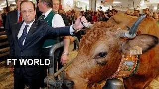 Farming: France takes bull by horns