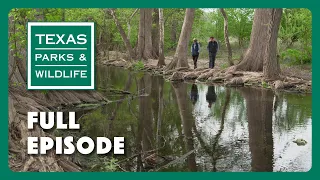 PBS Show - Cibolo Nature Center, Horned Lizards & Cooper Lake