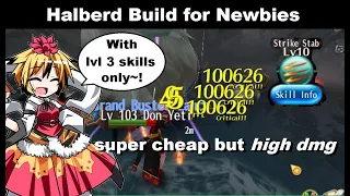 SUPER CHEAP Halberd Build for Newbies! No Lvl 4 Skills! | Toram Online