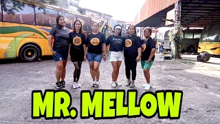 MR. MELLOW | Don't Play With Fire [Remix] Tiktok Viral | Dance Fitness | SHAKE n' BESSY